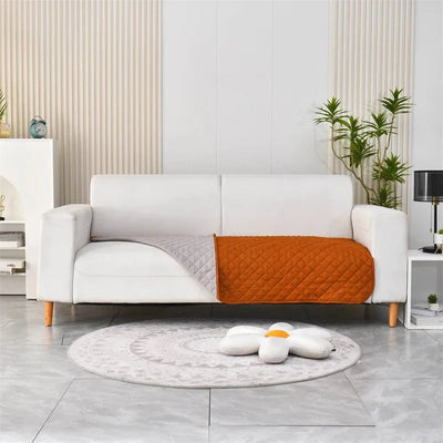 https://cdn.shopify.com/s/files/1/0647/9170/7830/files/tapis-pour-chien-lavable-7958231.webp?v=1777925469