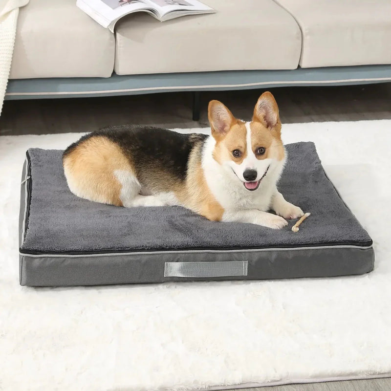 https://cdn.shopify.com/s/files/1/0647/9170/7830/files/tapis-pour-chien-toutes-saisons-et-indestructible-7533307.webp?v=1777925291