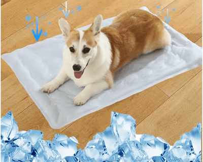 https://cdn.shopify.com/s/files/1/0647/9170/7830/files/tapis-rafraichissant-a-eau-3341442.png?v=1777924699