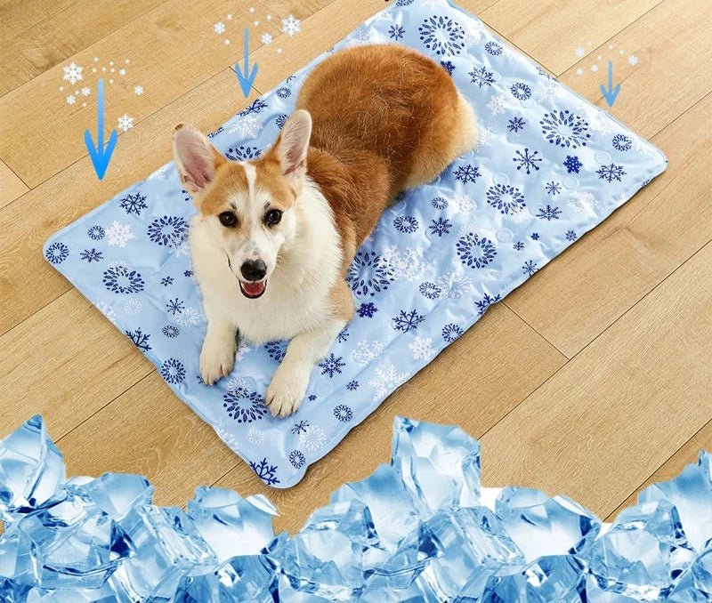 https://cdn.shopify.com/s/files/1/0647/9170/7830/files/tapis-rafraichissant-a-eau-8554804.webp?v=1777924698