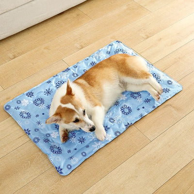 https://cdn.shopify.com/s/files/1/0647/9170/7830/files/tapis-rafraichissant-a-eau-8554804.webp?v=1777924698