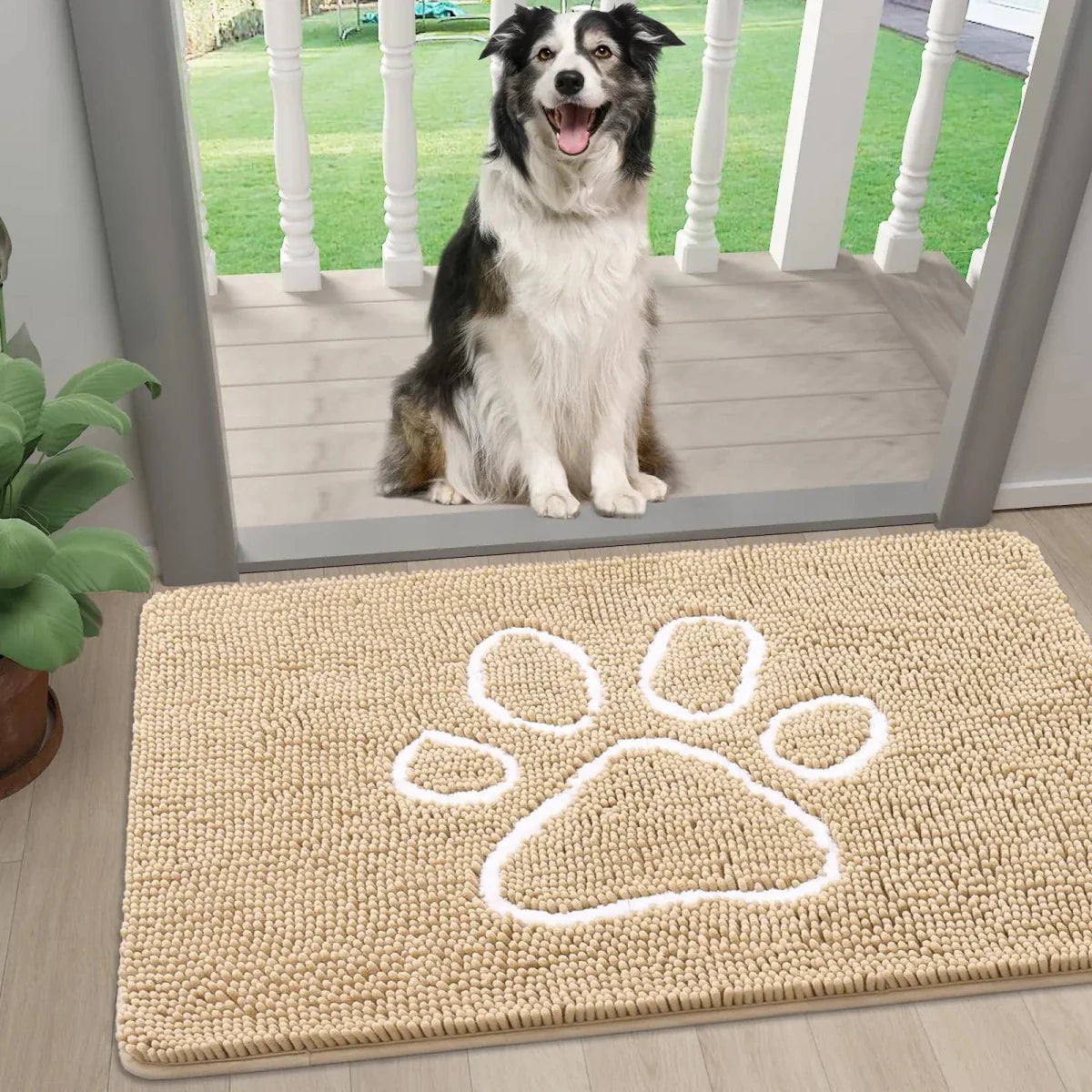 https://cdn.shopify.com/s/files/1/0647/9170/7830/files/tapis-super-absorbant-pattes-chien-9846825.webp?v=1777923253