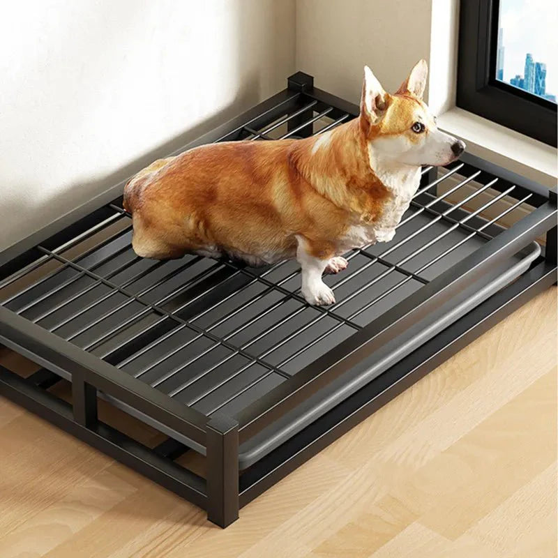 https://cdn.shopify.com/s/files/1/0647/9170/7830/files/tapis-toilette-pour-chiot-8173149.webp?v=1777924394