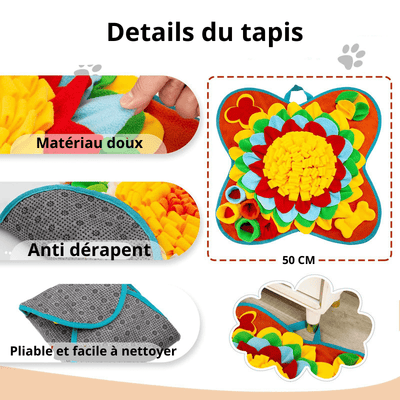 https://cdn.shopify.com/s/files/1/0763/9767/4819/files/tapis_de_fouille_grand_chien_details.png?v=1756137583