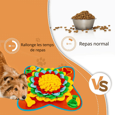 https://cdn.shopify.com/s/files/1/0763/9767/4819/files/tapis_de_fouille_grand_chien_exemple_de_nourriture.png?v=1756137583