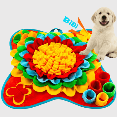 https://cdn.shopify.com/s/files/1/0763/9767/4819/files/tapis_de_fouille_grand_chien_labrador.png?v=1756137583