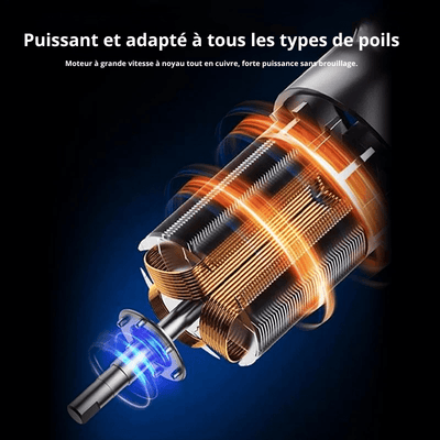 https://cdn.shopify.com/s/files/1/0647/9170/7830/files/tondeuse-pour-chien-silencieuse-2527736.png?v=1777924573