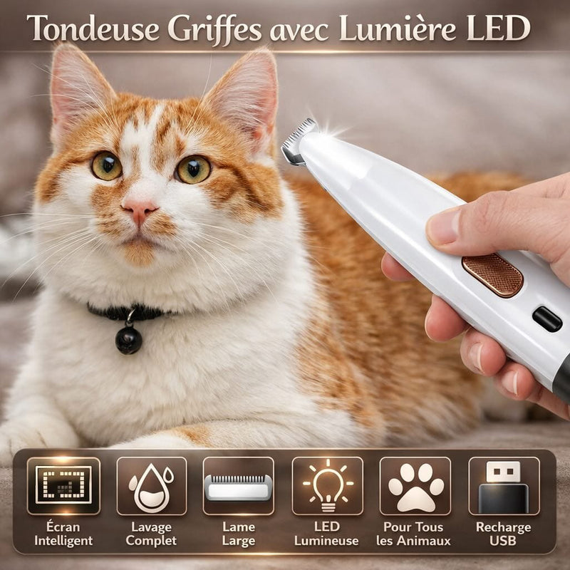 https://cdn.shopify.com/s/files/1/0489/2898/1148/files/imagetondeuse.jpg?v=1767684913