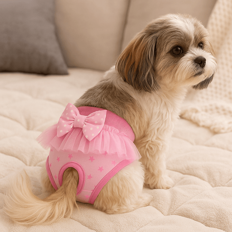 https://cdn.shopify.com/s/files/1/0647/9170/7830/files/tutu-culotte-pour-chien-3203612.webp?v=1777925169
