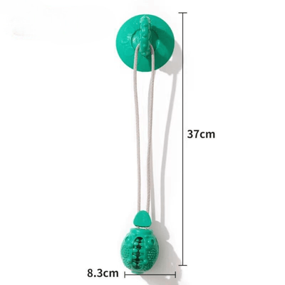 https://cdn.shopify.com/s/files/1/0489/2898/1148/files/v7_5a6b737f-94ef-416e-9e86-24c6fd5f72ea.png?v=1744537858