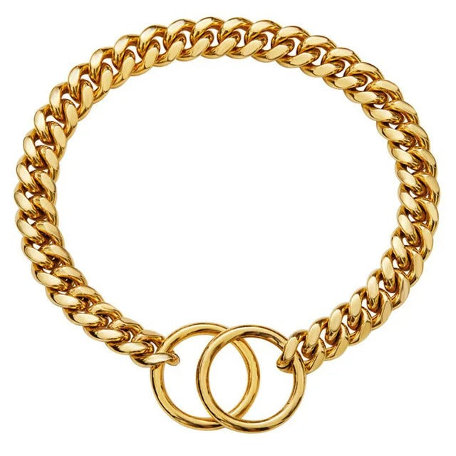 Collier pour chien en métal or