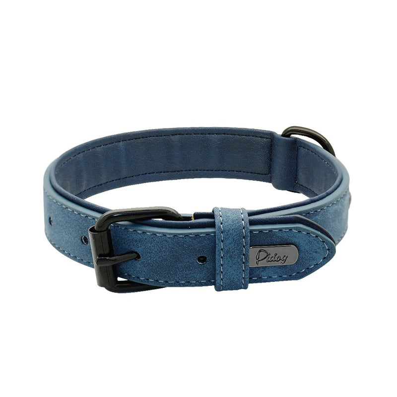 Collier Cuir Rembourré Bleu Molosse - Gros-Chien.com