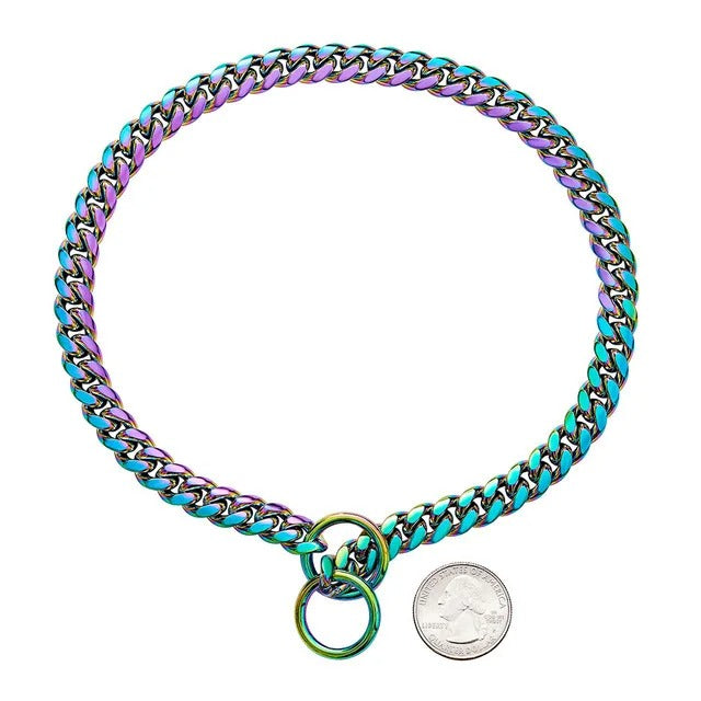 Collier pour chien en métal couleur