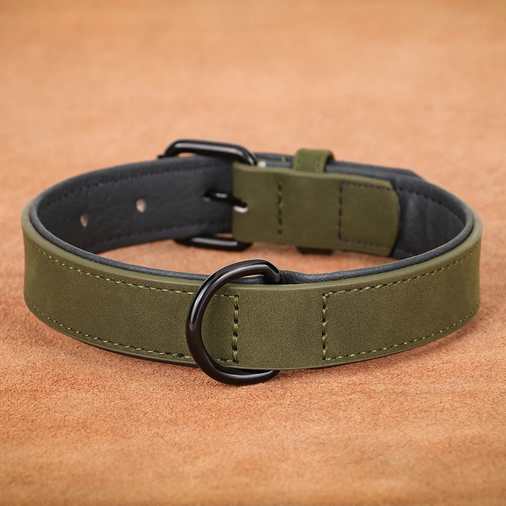 Collier Cuir Rembourré Vert Molosse - Gros-Chien.com