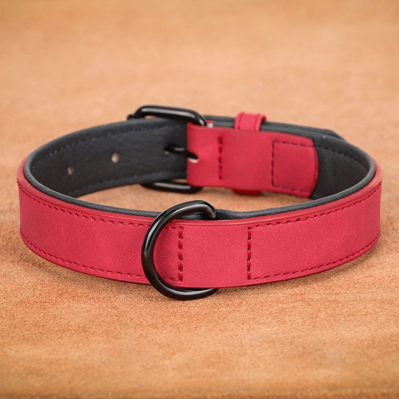 Collier Cuir Rembourré Rouge Molosse - Gros-Chien.com