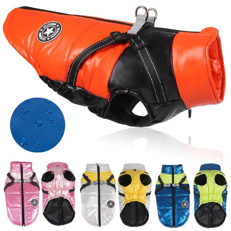 https://cdn.shopify.com/s/files/1/0647/9170/7830/files/veste-avec-harnais-pour-petit-chien-2068210.webp?v=1777925237