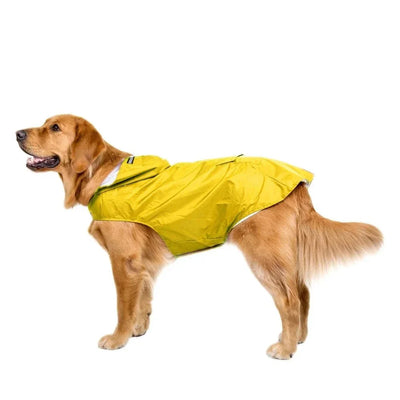 https://cdn.shopify.com/s/files/1/0647/9170/7830/files/veste-de-pluie-pour-chien-1299000.webp?v=1777924931