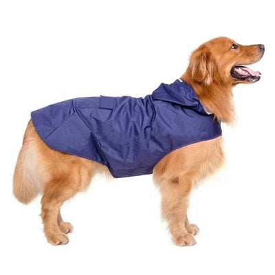 https://cdn.shopify.com/s/files/1/0647/9170/7830/files/veste-de-pluie-pour-chien-2315260.webp?v=1777924931