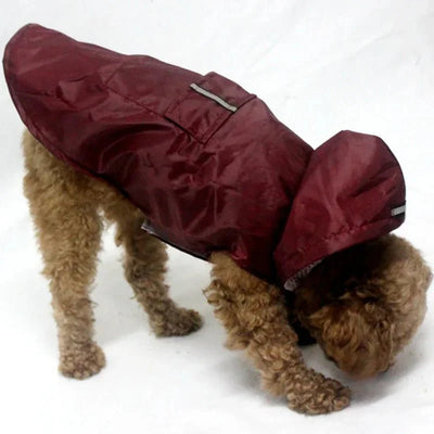 https://cdn.shopify.com/s/files/1/0647/9170/7830/files/veste-de-pluie-pour-chien-6458885.webp?v=1777924932