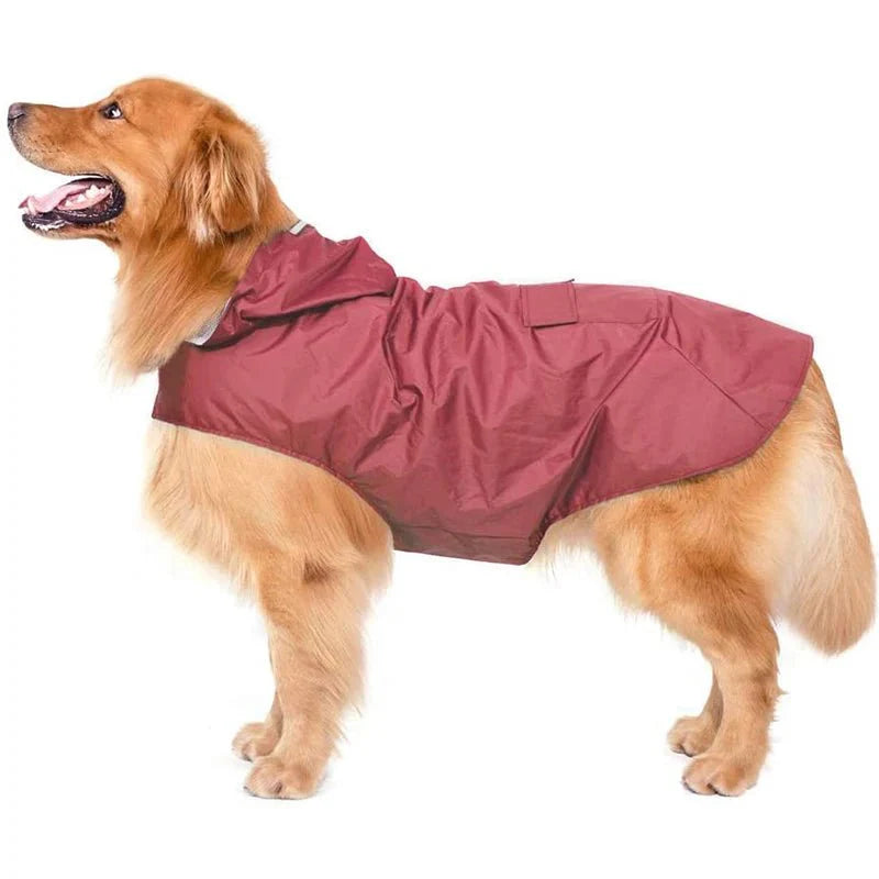 https://cdn.shopify.com/s/files/1/0647/9170/7830/files/veste-de-pluie-pour-chien-9334854.webp?v=1777924931