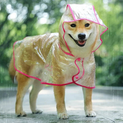 https://cdn.shopify.com/s/files/1/0647/9170/7830/files/veste-de-pluie-transparente-pour-chien-8483377.webp?v=1777925116