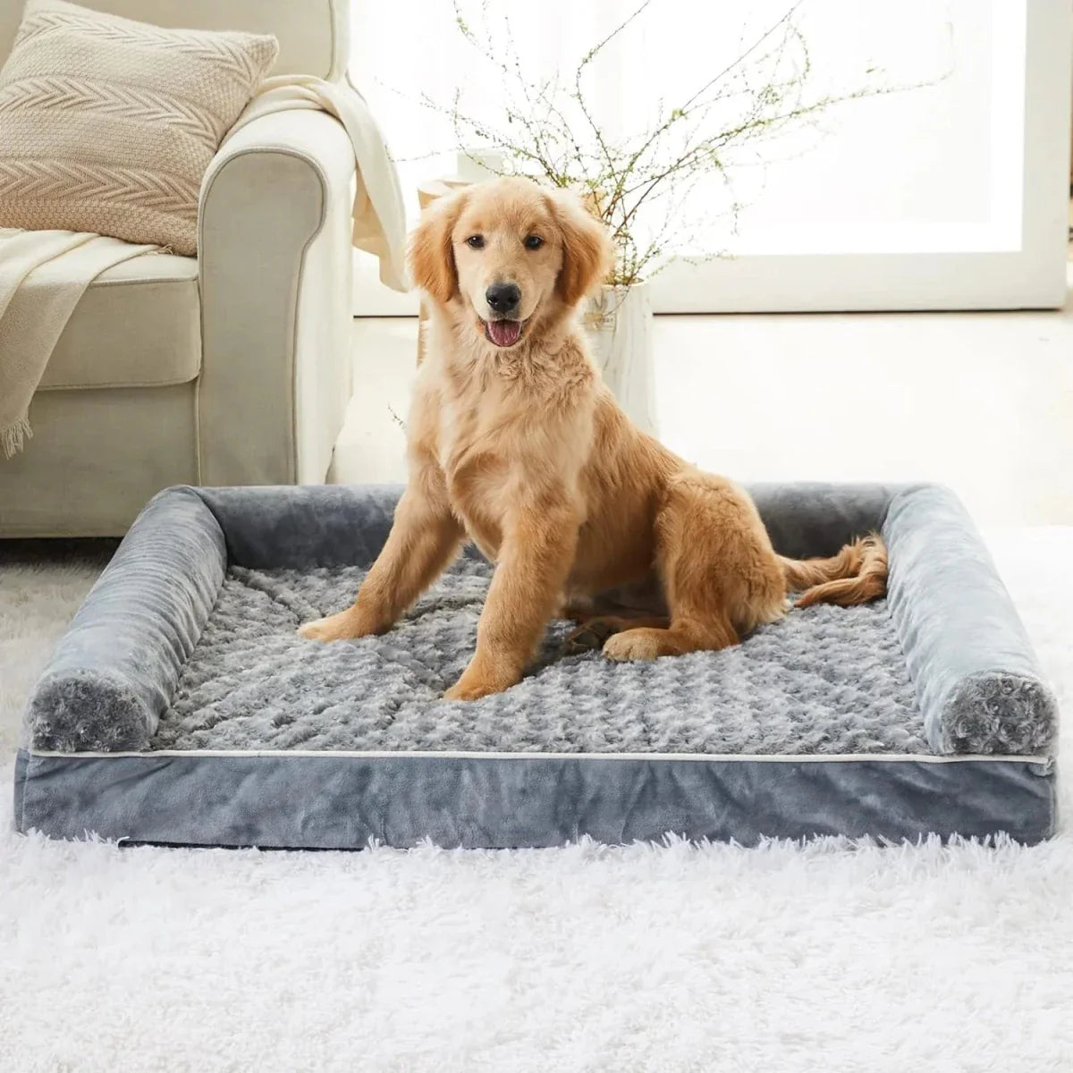 https://cdn.shopify.com/s/files/1/0647/9170/7830/files/xxl-panier-pour-chien-3042411.webp?v=1777924568