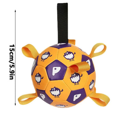 https://cdn.shopify.com/s/files/1/0489/2898/1148/files/yellow.jpg?v=1744538594