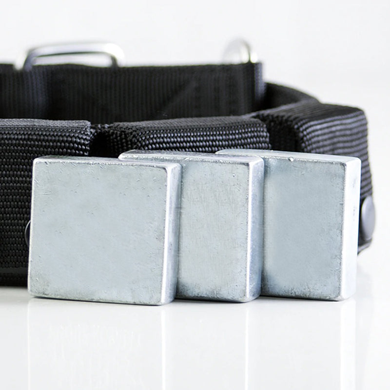 Poids pour équipements de sport canin - Gros-Chien.com