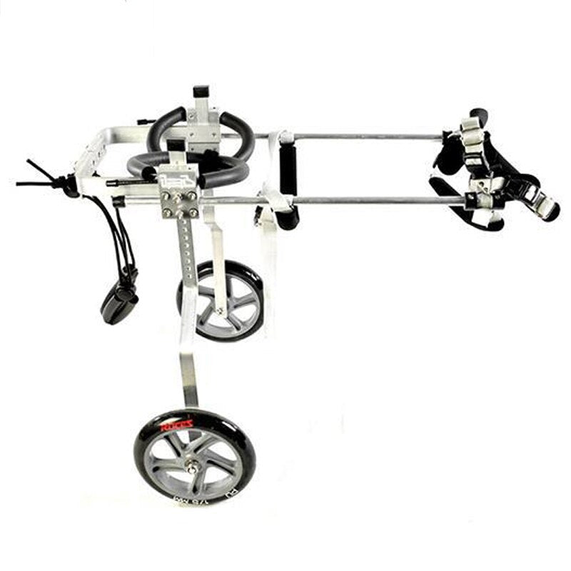 Chariot chien handicapé - Gros-Chien.com