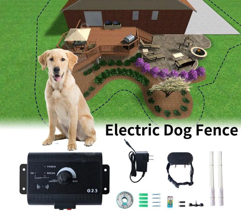 Clôture électrique pour chien et électronique