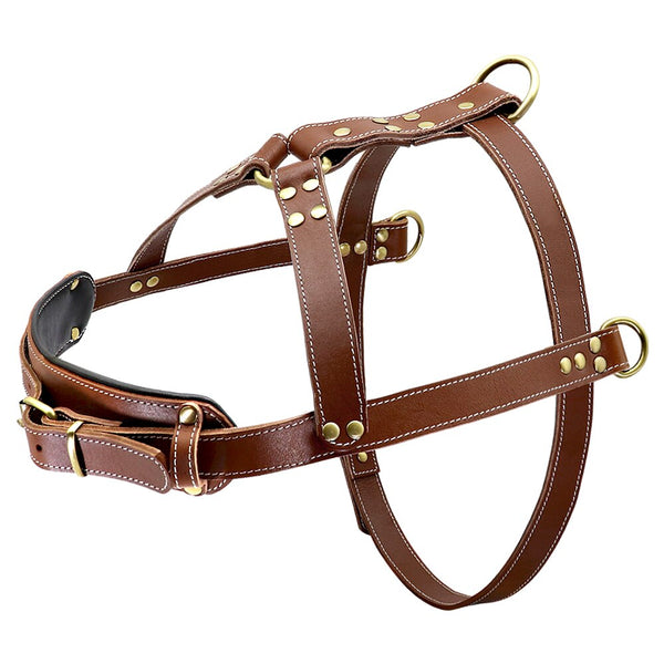 Harnais Pour Chien Hurtta ECO Casual Cannelle, Tailles Diverses, NEUF