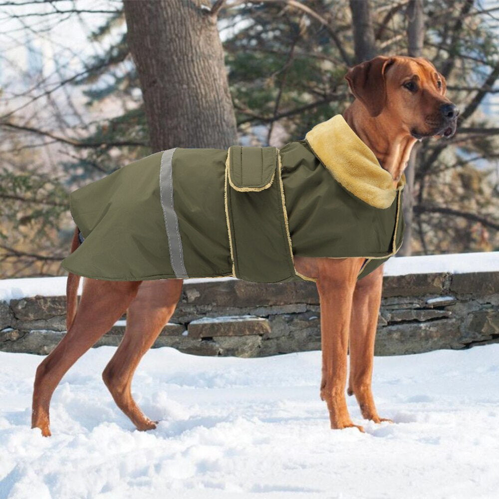 Harnais et manteau pour chien et chiot noir en Ultra Suede