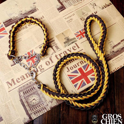COLLIER + LAISSE "BLACK & YELLOW ARMY" - Gros-Chien.com