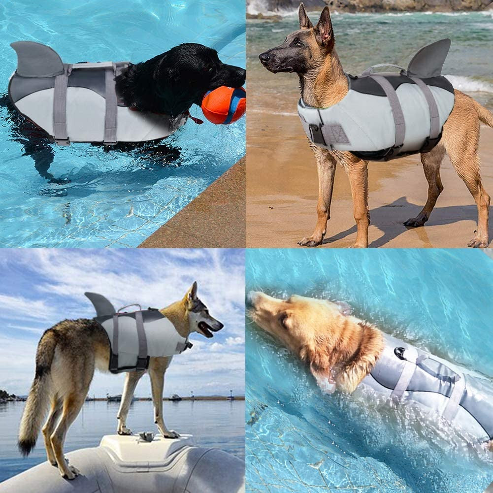 Gilet de sauvetage pour chien en forme de requin - Gros-Chien.com