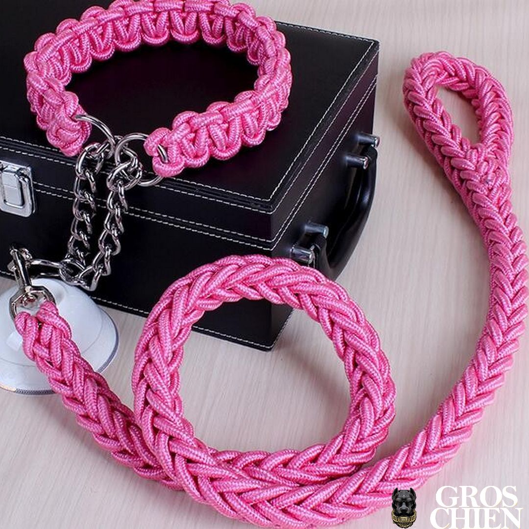 Collier & Laisse paracorde chien rose : Collier American Bully 